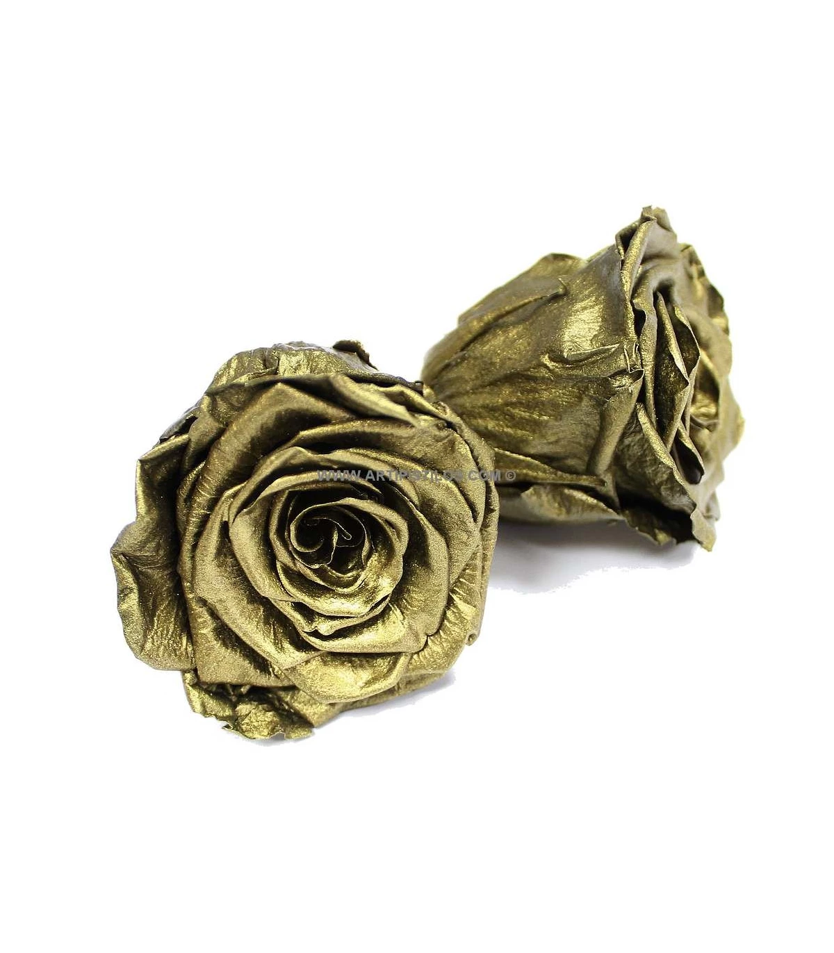 Metallic preserved rose 7 X 6,5 CM - Preserved Flowers - Materials for  headdresses, Preserved flowers, Headbands, Silk fabrics a