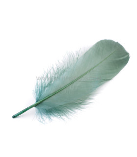 INDIVIDUAL FEATHERS (2)