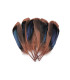 Plumas de pato 13-15 cm X 20 UNIDADES