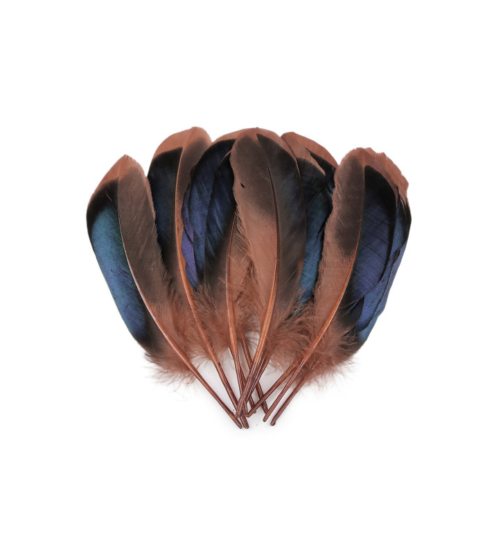 Plumas de pato 13-15 cm X 20 UNIDADES