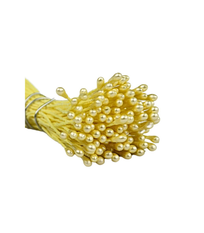 PEARLIZED STAMEN 2 SIDES YELLOW BASE /YELLOW FILAMENT