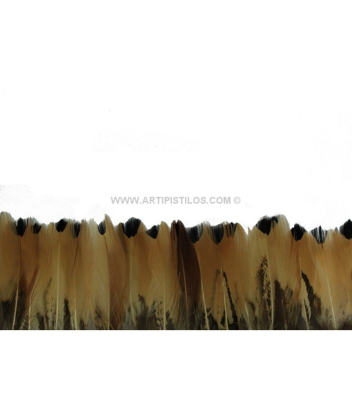 FRINGE PHEASANT FEATHERS 10 CMS.