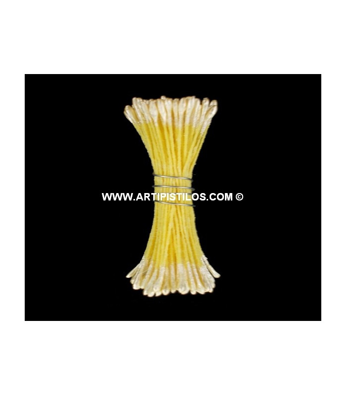 PEARLIZED STAMEN 2 SIDES YELLOW BASE /YELLOW FILAMENT