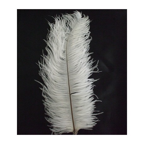 Plumas de avestruz blondine